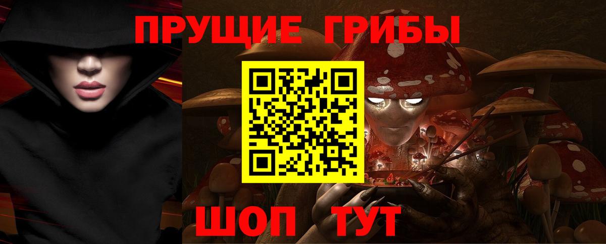 Псилоцибиновые грибы GOLDEN TEACHER Орехово-Зуево