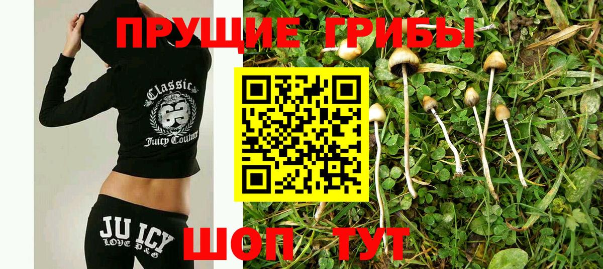 Орехово-Зуево  Галлюциногенные грибы MAGIC MUSHROOMS  Вход с VPN 